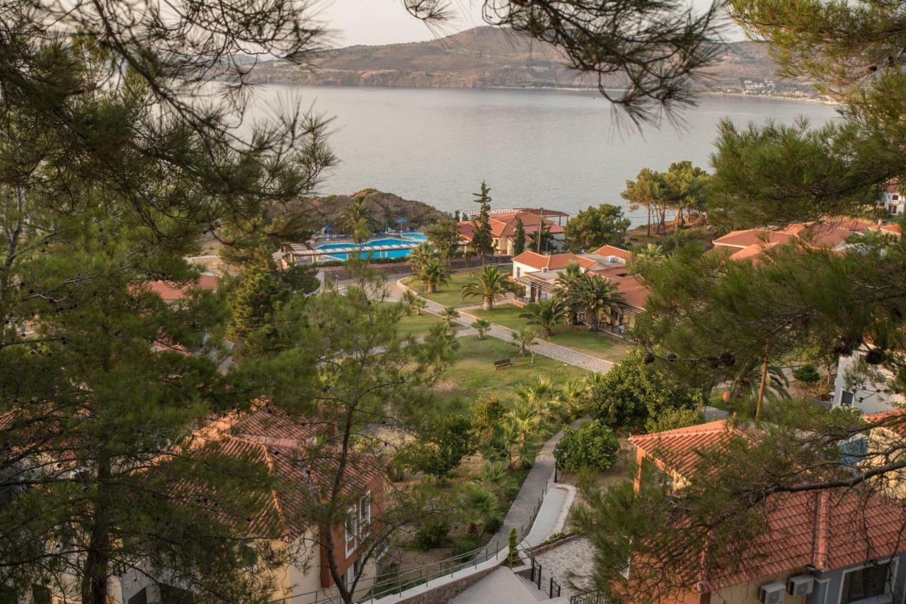 Alma Hotel Petra  Esterno foto